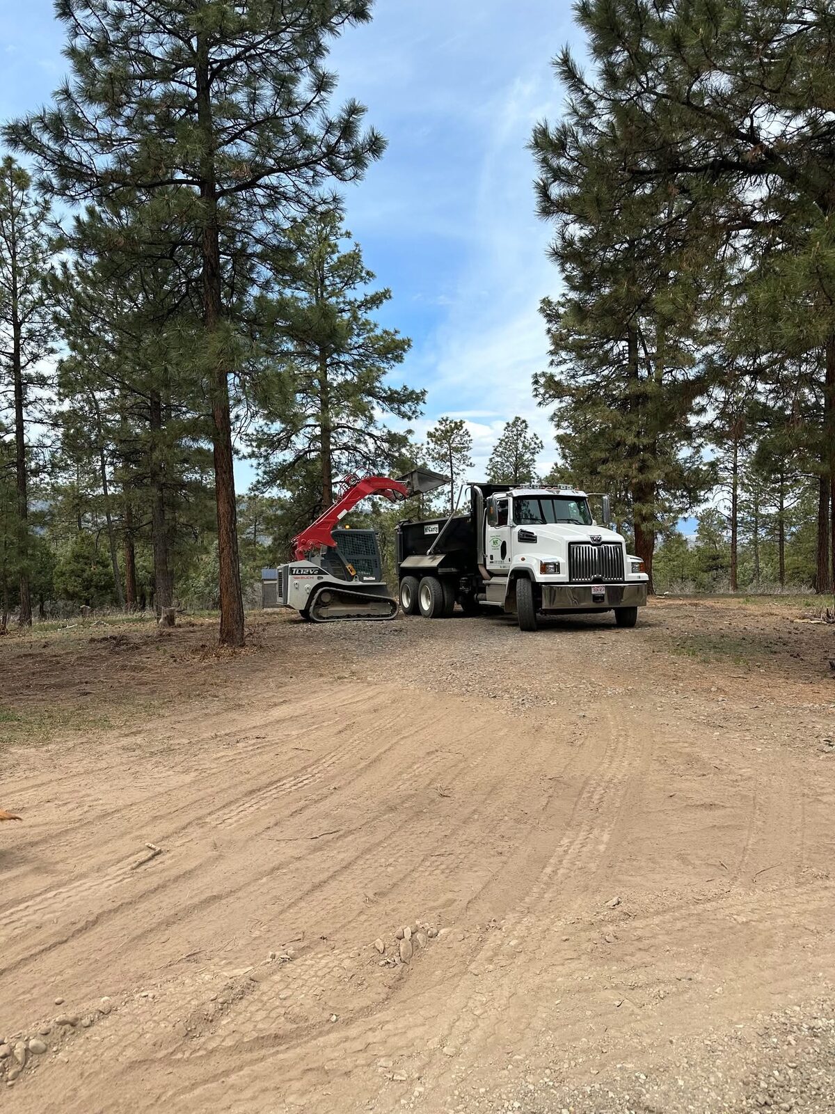 Site clearing for a DEK Builds project in a pine forest