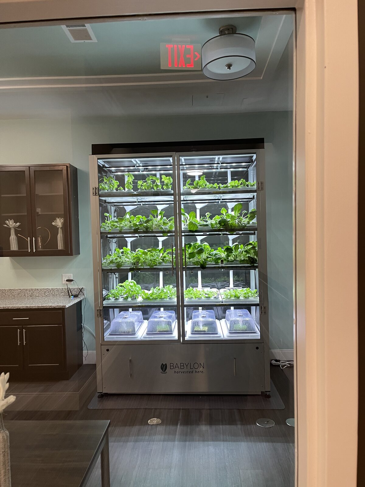 An indoor vertical growing installation at a LoneStar Kaufman property