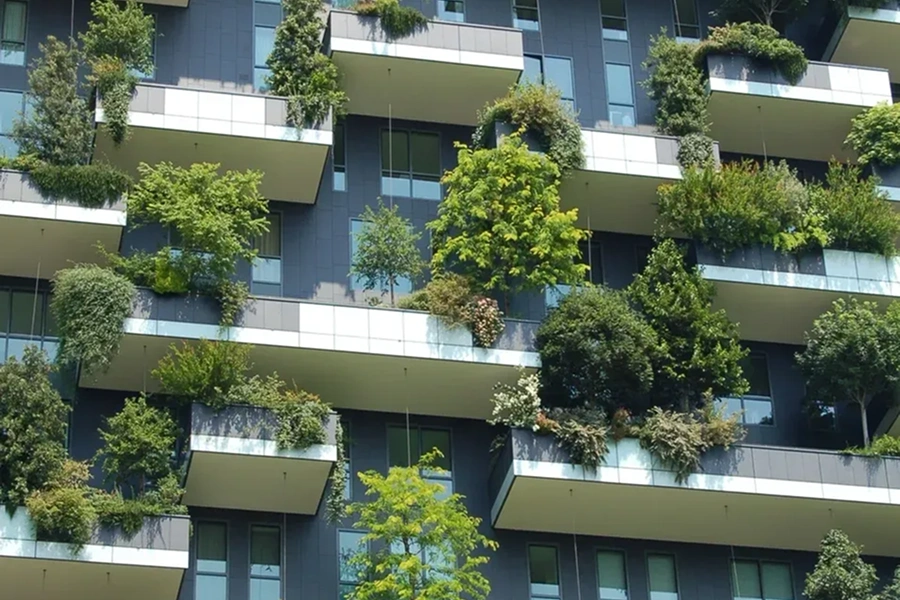 Vertical garden on apartment balconies